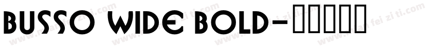 Busso Wide Bold字体转换